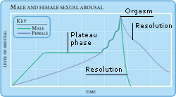 arousal